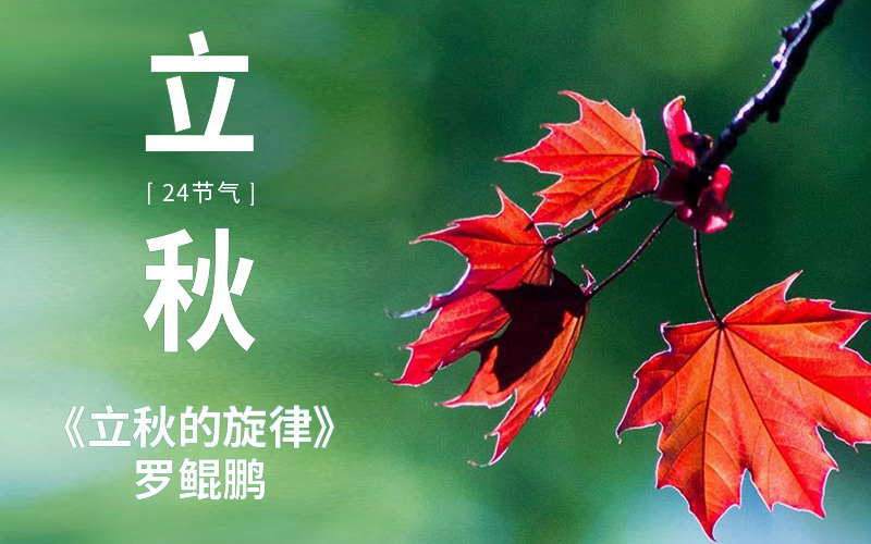 立秋的旋律-云上音乐会