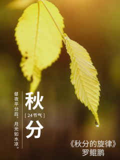 秋分的旋律-云上音乐会