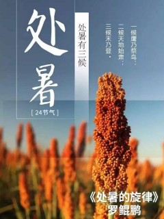 处暑的旋律-云上音乐会