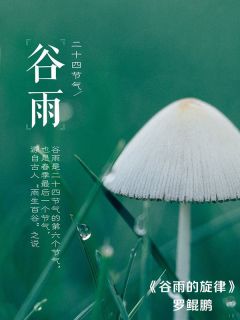 谷雨的旋律-云上音乐会